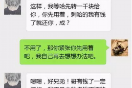 绿园债务清欠服务